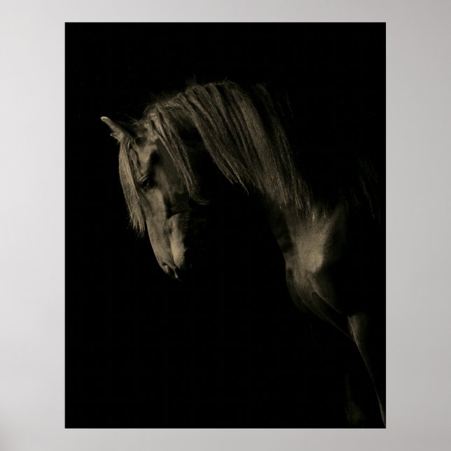 Affiche Cheval noir Sepia (Devant)