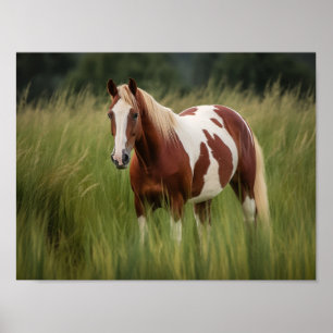 Affiche Cheval Pinto Mustang en haute herbe