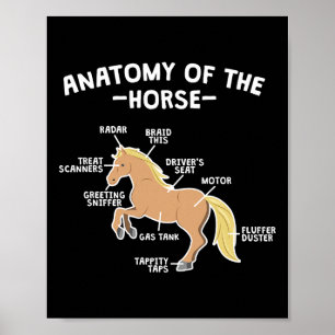 Affiche Cheval Pun Anatomie Du Cheval Équitation Équitatio