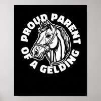 Cheval Rider Gelding - Cheval Équitation Équitatio