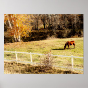 Affiche Cheval Rustique Pays Automne Art