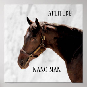 Affiche Cheval Thoroughbred - Nano Man - Attitude