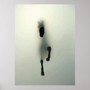 Affiche Cheval traversant le brouillard