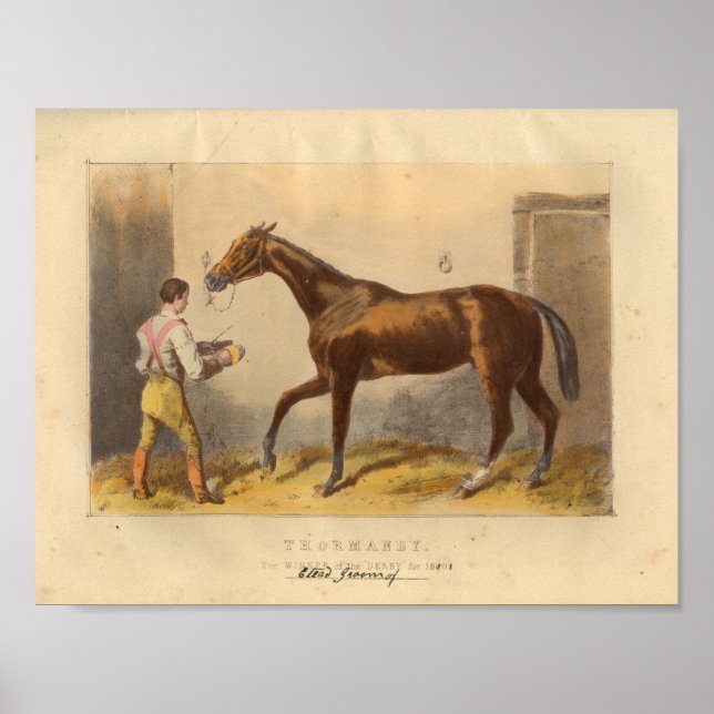 Affiche Cheval vintage Imprimer 1873 Thormanby (Devant)