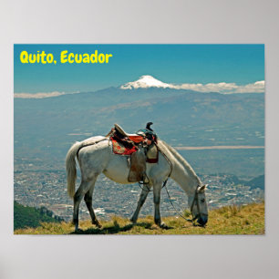 Affiche Cheval & volcan, Quito, Equateur