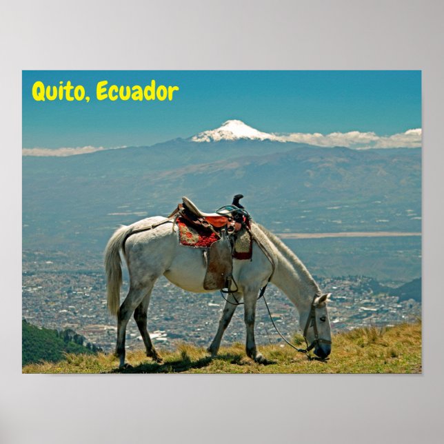 Affiche Cheval & volcan, Quito, Equateur (Devant)