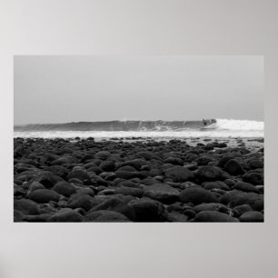 AFFICHE CHEVALETS, PLAGE D'ÉTAT DE SAN ONOFRE, CA,