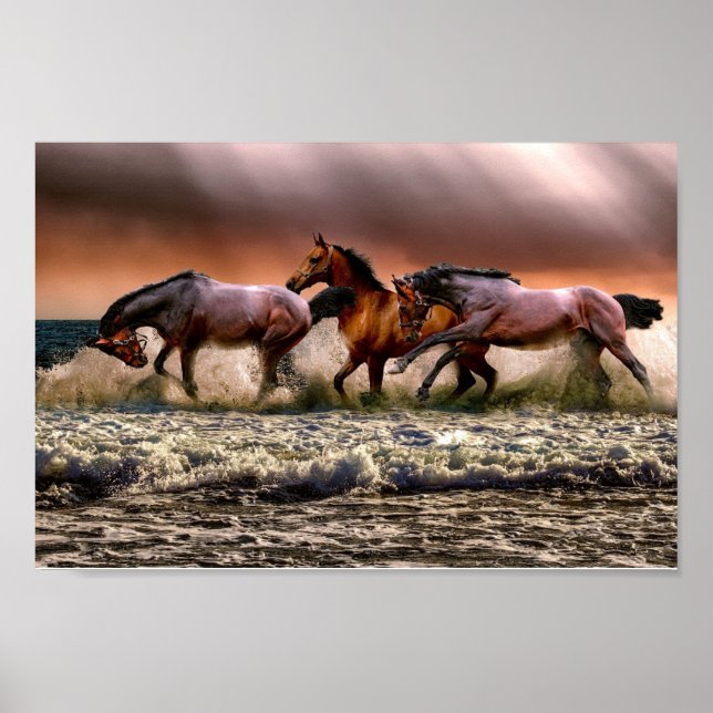 Affiche Chevaux (Devant)