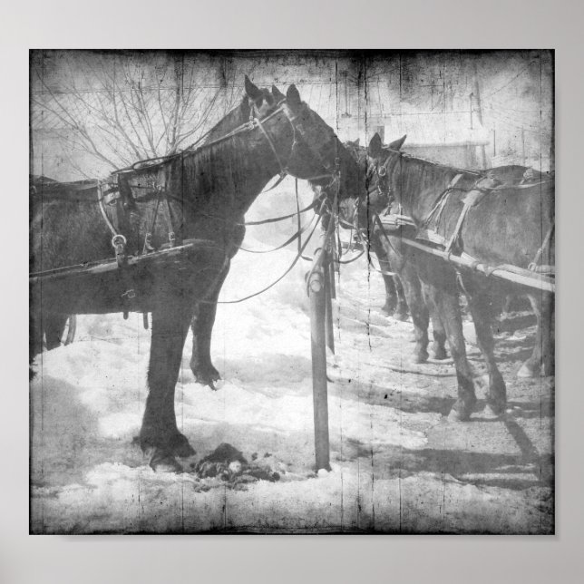 Affiche Chevaux Amish en Grunge Noir et Blanc (Devant)