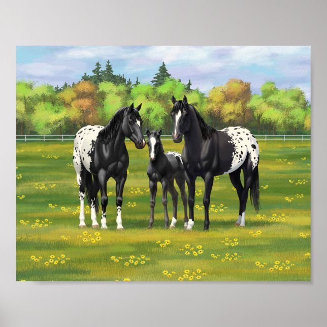 Affiche Chevaux Appaloosa Noir Dans Les Pâturages D'Été (Devant)