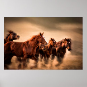 Affiche Chevaux au galop, flou et crinières au vent