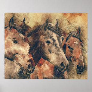 Affiche Chevaux Brown