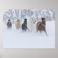Chevaux courant à travers la neige