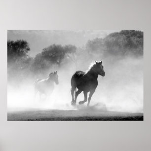 Affiche Chevaux courant noir et blanc magnifique paysage