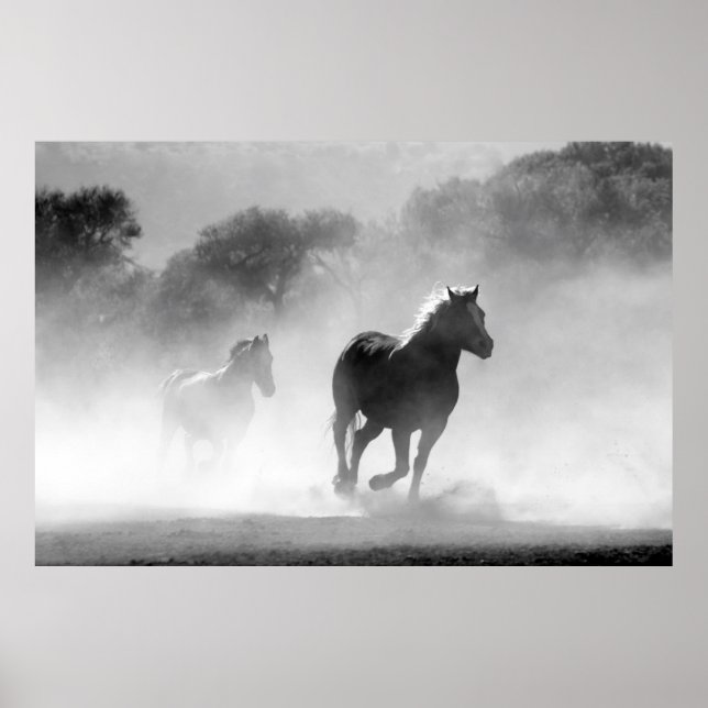Affiche Chevaux courant noir et blanc magnifique paysage (Devant)