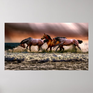 Affiche Chevaux courir dans le Surf