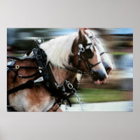 Chevaux course cheval traîneau à cheval photo