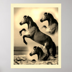 Affiche Chevaux dans l'art