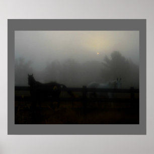 Affiche Chevaux dans le brouillard