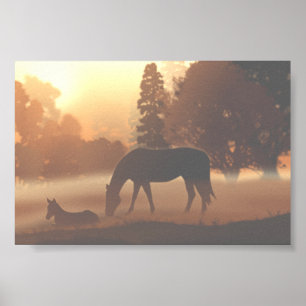 Affiche Chevaux dans le brouillard matinal