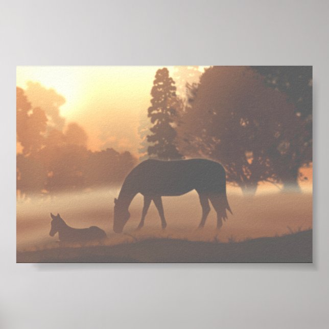 Affiche Chevaux dans le brouillard matinal (Devant)