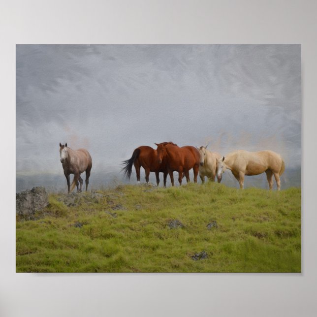 Affiche Chevaux dans le pâturage (Devant)