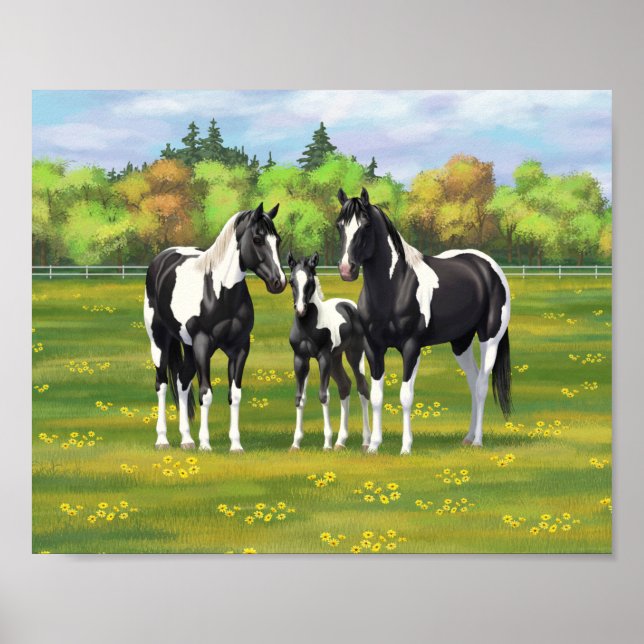 Affiche Chevaux De Peinture De Pinto Noir En Pâturage Été (Devant)