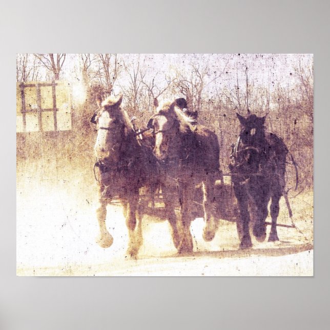 Affiche Chevaux de travail (Devant)