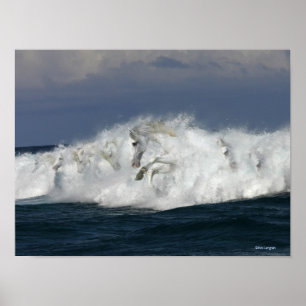 Affiche Chevaux d'Imaginaire : Mer