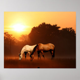 Affiche Chevaux du lever du soleil