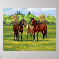 Chevaux Du Quartier De La Baie Brown Dans Les Pâtu