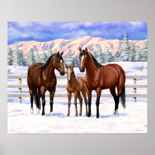 Affiche Chevaux Du Quartier De La Baie Brown En Neige