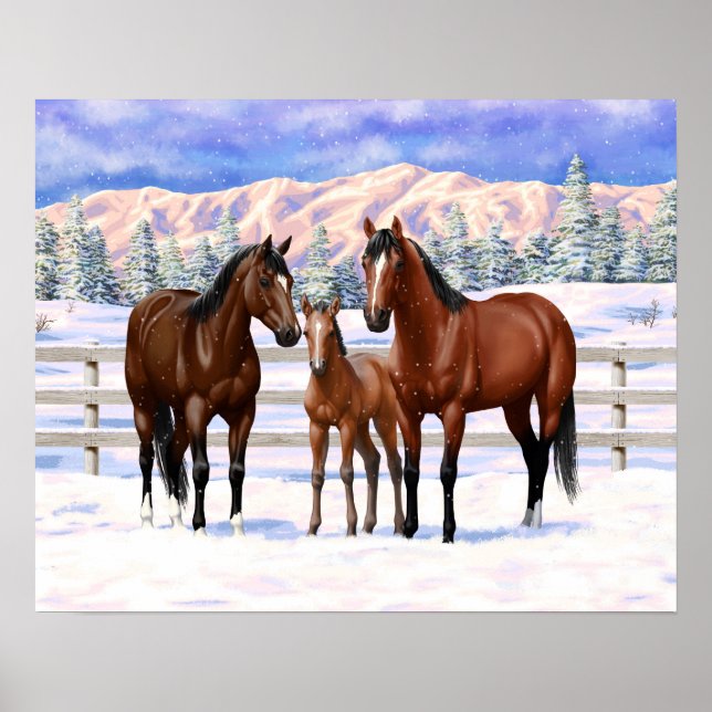 Affiche Chevaux Du Quartier De La Baie Brown En Neige (Devant)