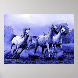 Affiche Chevaux en Bleu Night