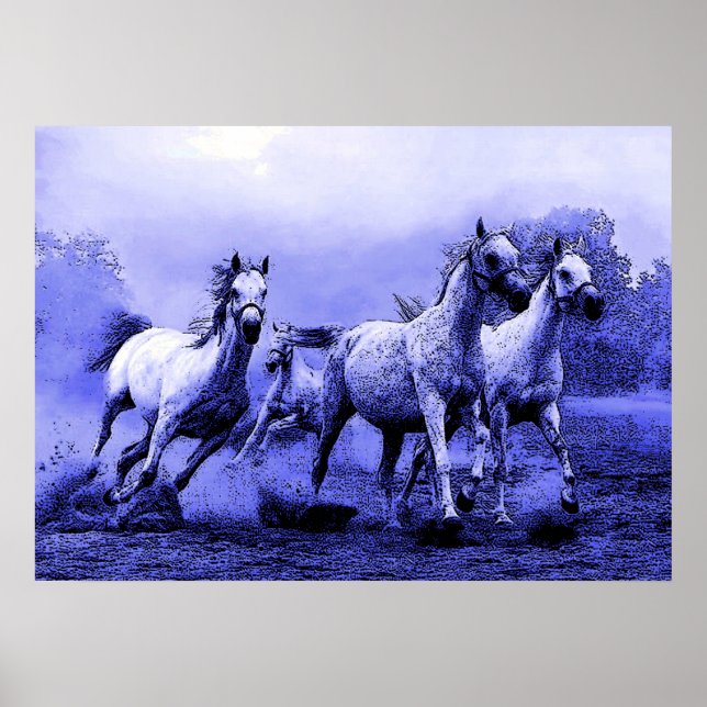 Affiche Chevaux en Bleu Night (Devant)