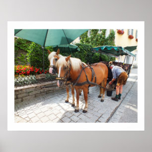 Affiche Chevaux et calèche à St Wolfgang