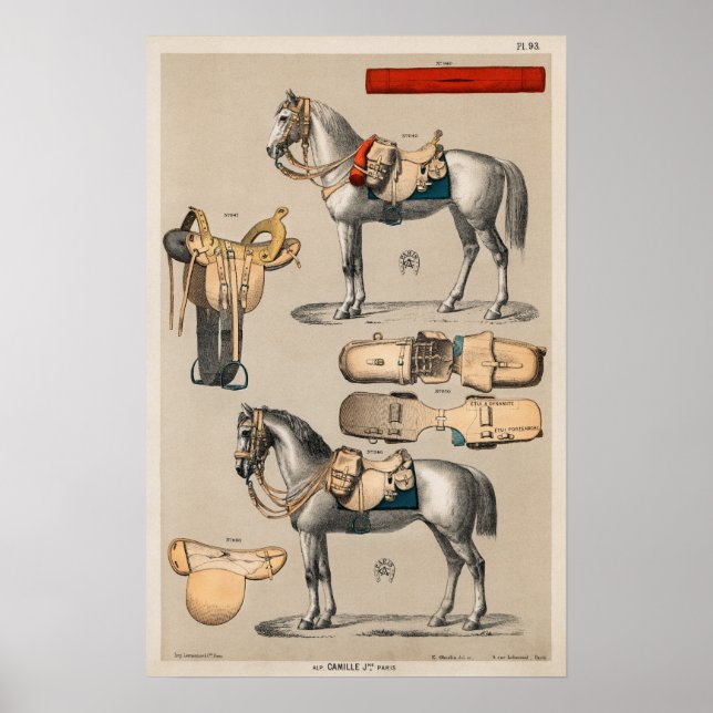 Affiche Chevaux et selles (Devant)
