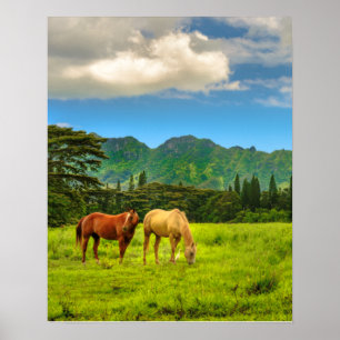 Affiche Chevaux hawaïens, Hokulei Peak, Kauai, Vertical