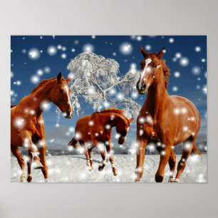 Affiche Chevaux jouant dans la neige