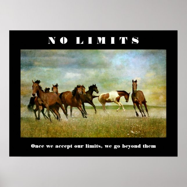 Affiche Chevaux Motivationnel Inspirationnel Sans Limite C (Devant)