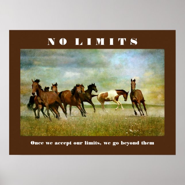 Affiche Chevaux Motivationnel Inspirationnel Sans Limite C (Devant)