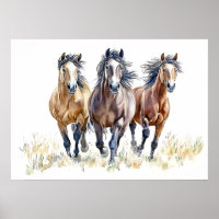 Chevaux mustangs sauvages et libres de l'Ouest