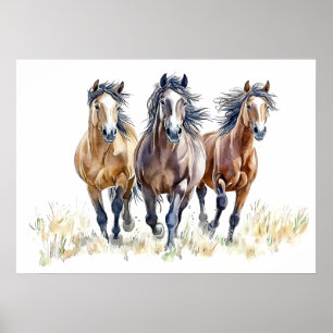 Affiche Chevaux mustangs sauvages et libres de l'Ouest