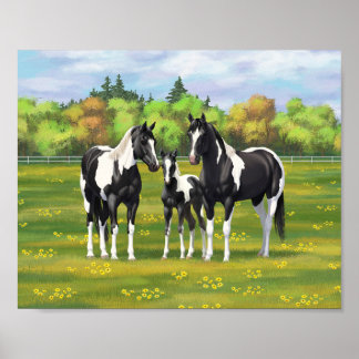 Affiche Chevaux Quarter Horse Paint Pinto Noirs En Pâturag