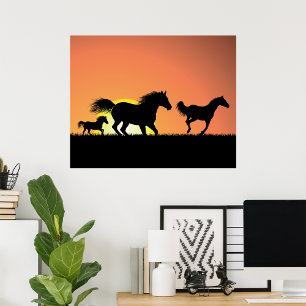 Affiche Chevaux sauvages