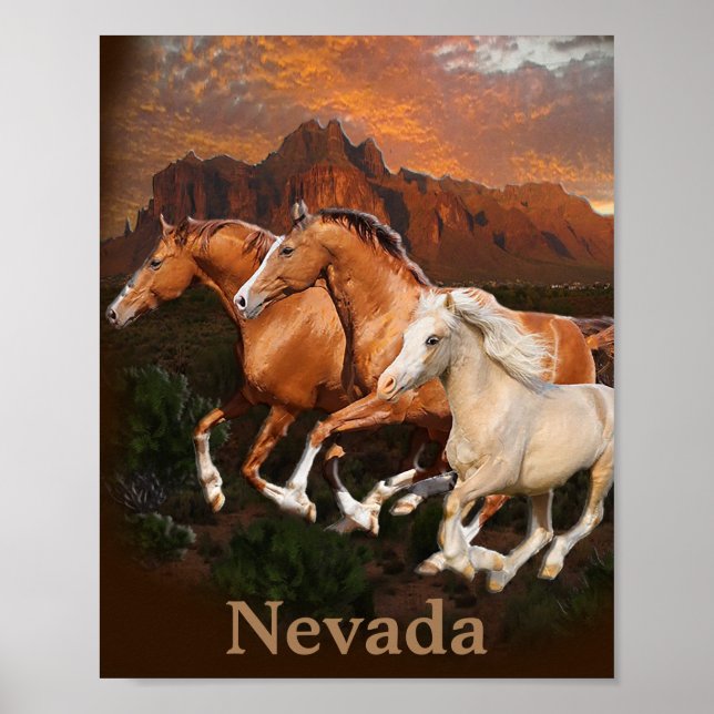 Affiche chevaux sauvages (Devant)