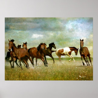 Affiche Chevaux sauvages - Art créatif Vintage