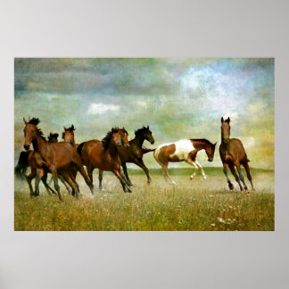 Affiche Chevaux sauvages - Art créatif Vintage
