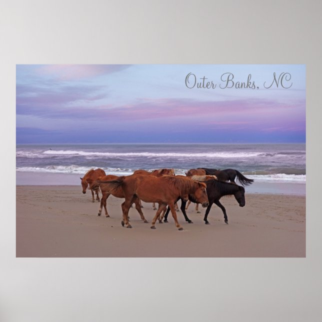 Affiche Chevaux sauvages Banques extérieures OBX Corolla N (Devant)