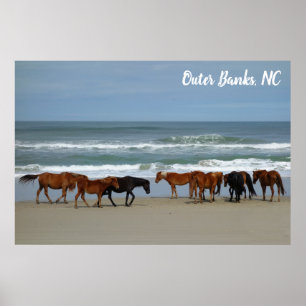 Affiche Chevaux sauvages Banques extérieures OBX Corolla N